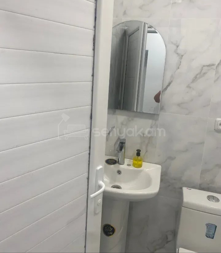 2 Սենյականոց Բնակարան Քարե Շենքում, 35քմ, 1/1 հարկ, Նորմալ Վիճակում, Կահավորված