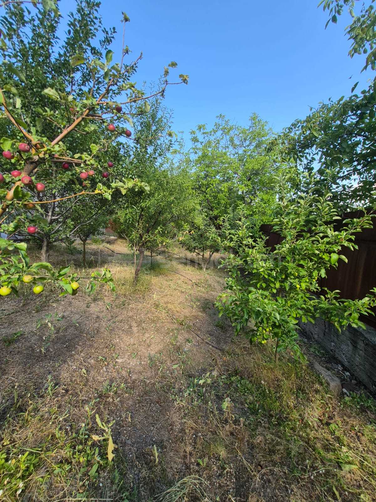 6 Սենյականոց Ամառանոց, 255քմ, Լողավազանով