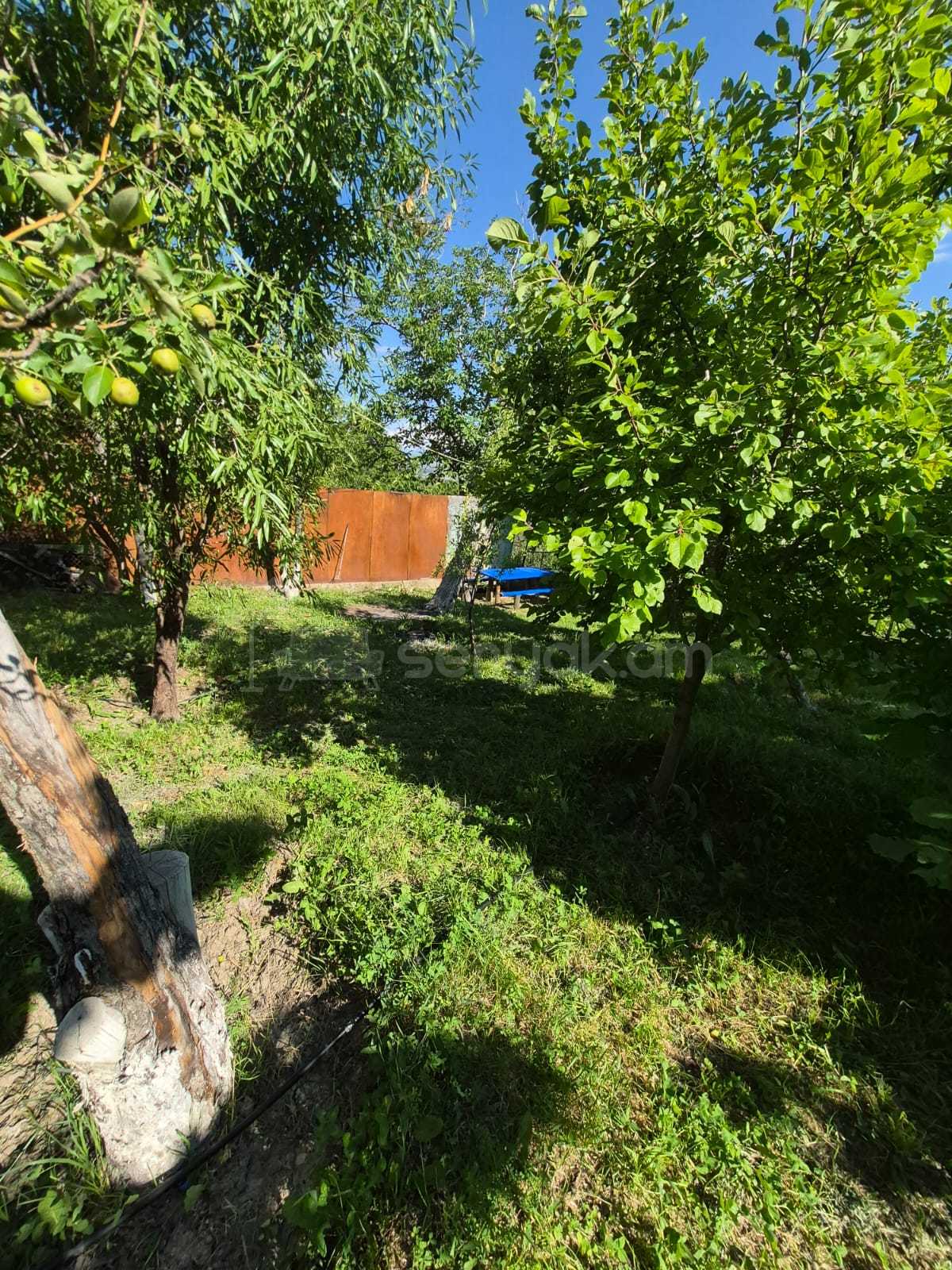 6 Սենյականոց Ամառանոց, 255քմ, Լողավազանով
