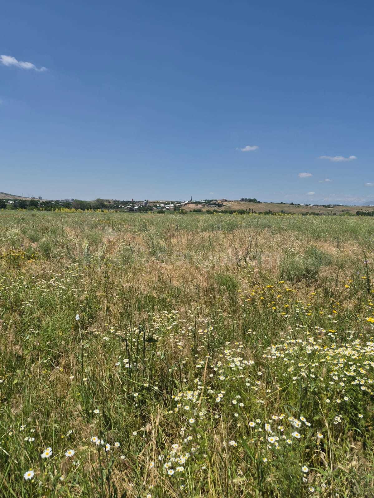 Բնակելի Նշանակության Հողատարածք, 854քմ