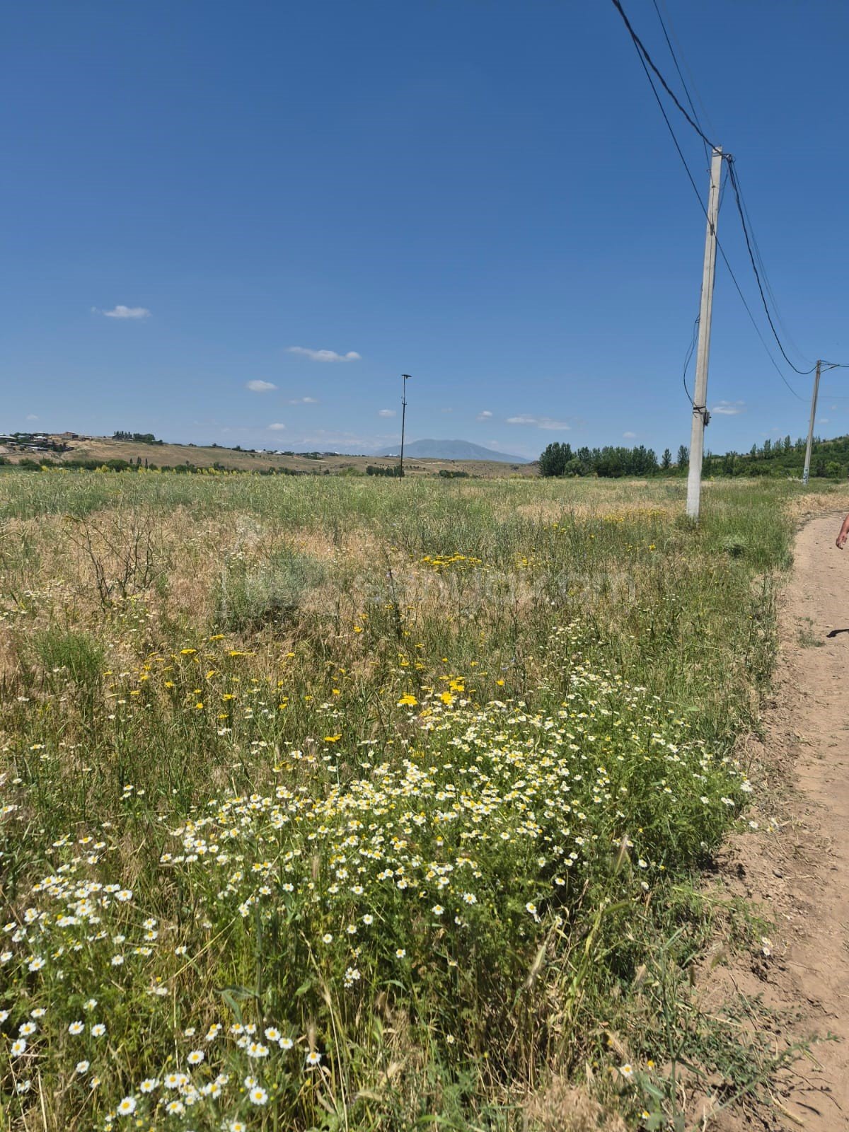 Բնակելի Նշանակության Հողատարածք, 854քմ