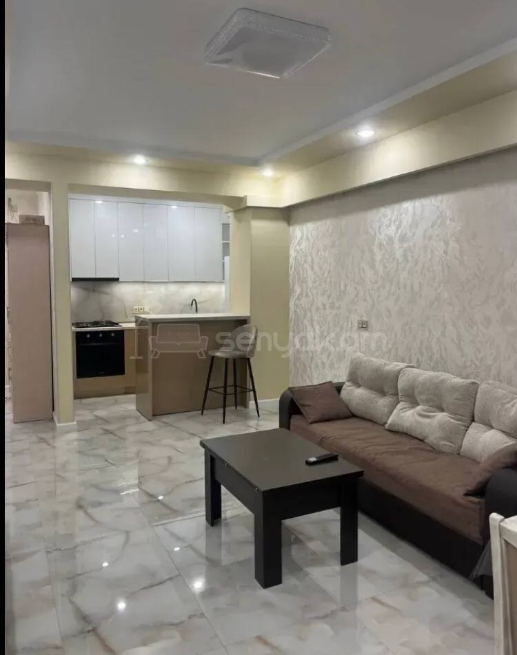 2 Սենյականոց Բնակարան Նորակառույցում, 55քմ, 2/20 հարկ, Կապիտալ Վերանորոգված, Կահավորված, Արևկող