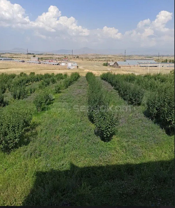 Հողամաս, 800քմ
