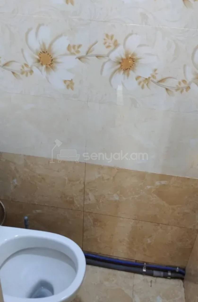 2 Սենյականոց Բնակարան, 67քմ, 9/9 հարկ, Կոսմետիկ Վերանորոգված
