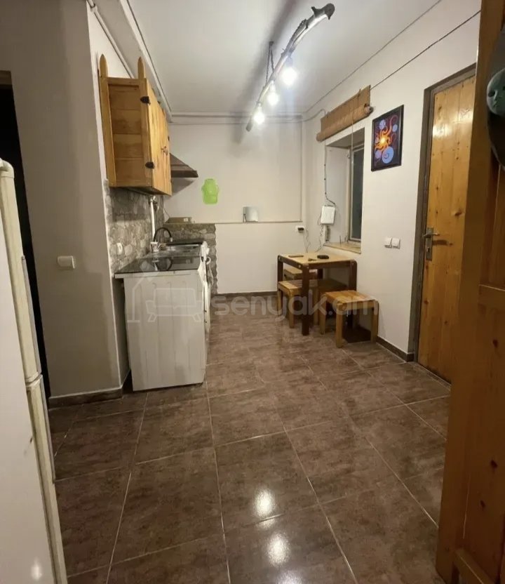 1 Սենյականոց Բնակարան Քարե Շենքում, 52քմ, 2/2 հարկ, Կապիտալ Վերանորոգված, Կահավորված