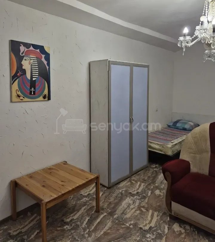 1 Սենյականոց Բնակարան Քարե Շենքում, 52քմ, 2/2 հարկ, Կապիտալ Վերանորոգված, Կահավորված