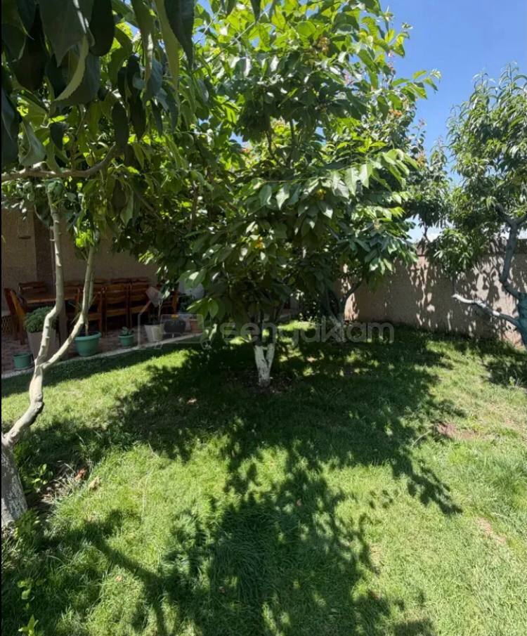 5 Սենյականոց Սեփական Տուն, 203քմ, Դիզայներական Վերանորոգված, Ավտոտնակով