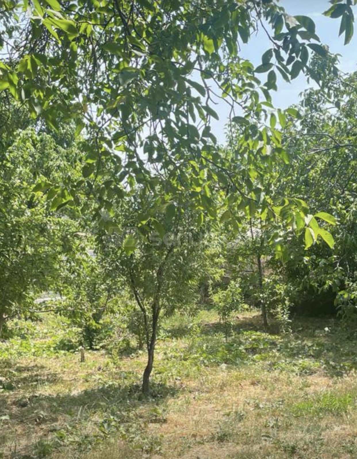 Բնակելի Նշանակության Հողատարածք, 500քմ, Խմելու Ջրով, Էլեկտրականությամբ, Ցանկապատված