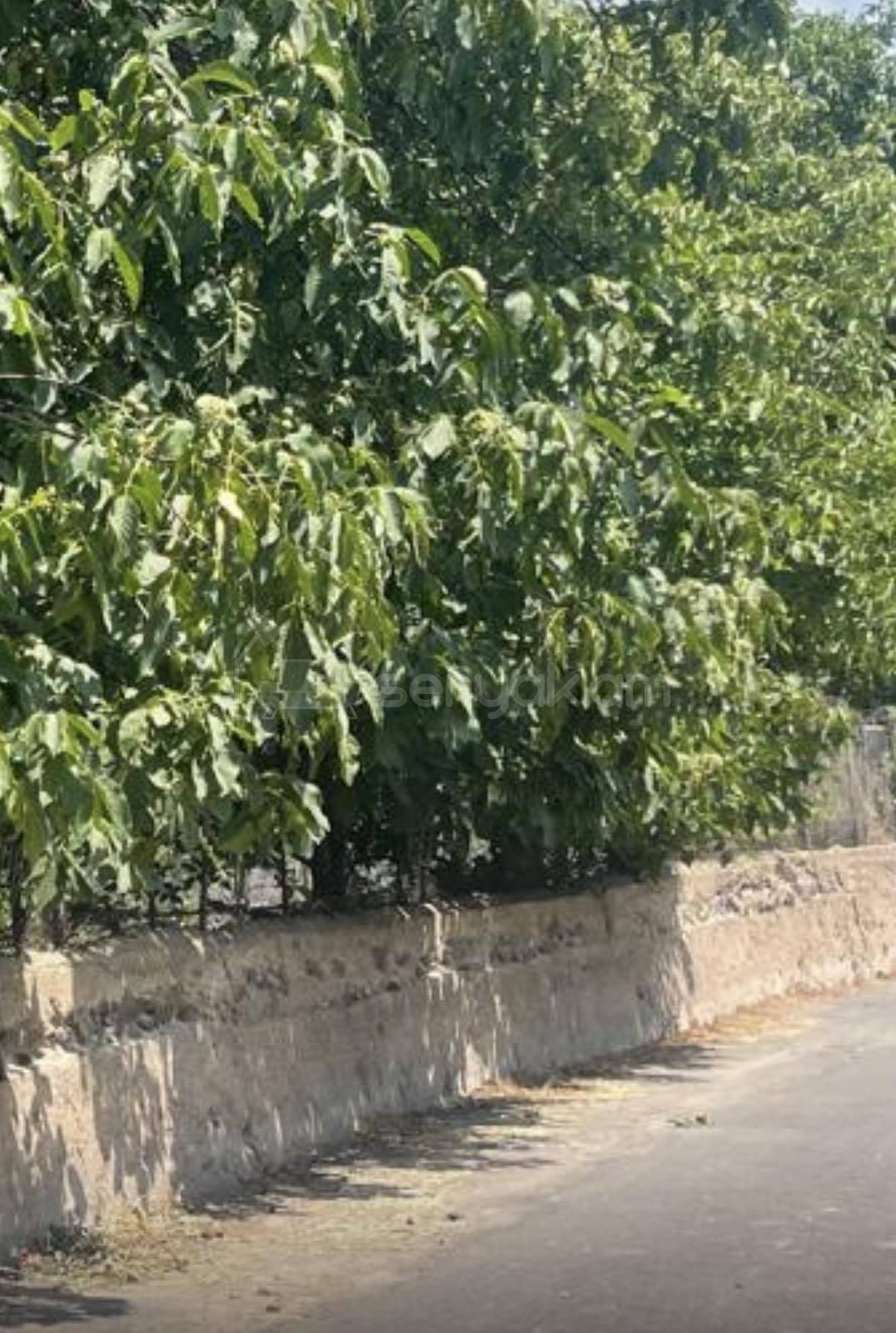 Բնակելի Նշանակության Հողատարածք, 500քմ, Խմելու Ջրով, Էլեկտրականությամբ, Ցանկապատված