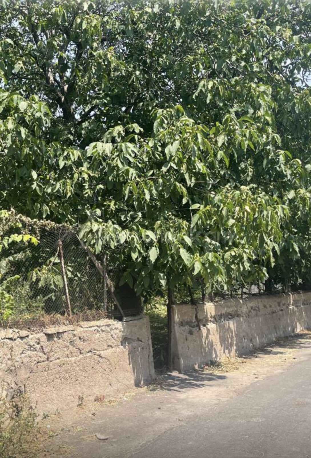 Բնակելի Նշանակության Հողատարածք, 500քմ, Խմելու Ջրով, Էլեկտրականությամբ, Ցանկապատված