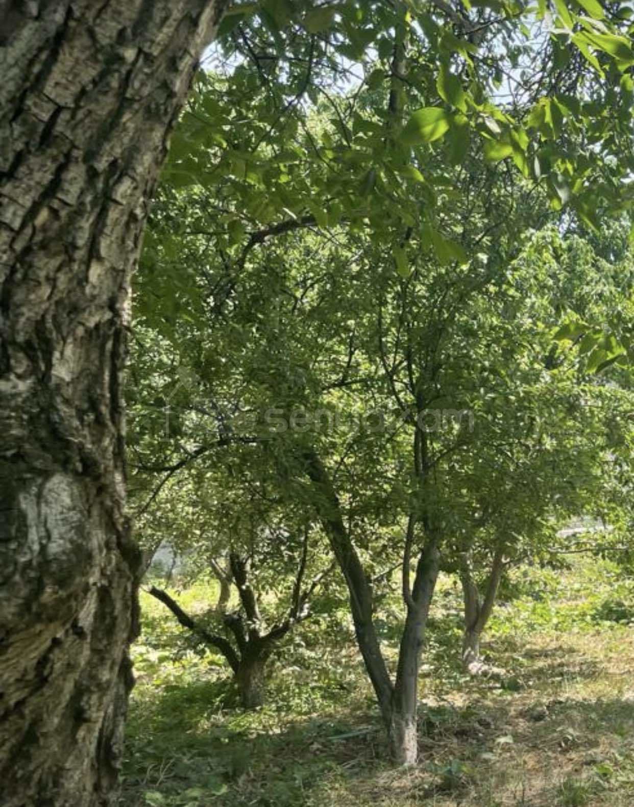 Բնակելի Նշանակության Հողատարածք, 500քմ, Խմելու Ջրով, Էլեկտրականությամբ, Ցանկապատված