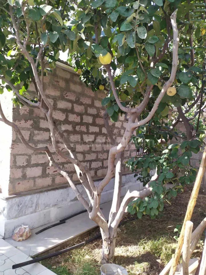 4 Սենյականոց Սեփական Տուն, 100քմ, Կոսմետիկ Վերանորոգված, Ավտոտնակով