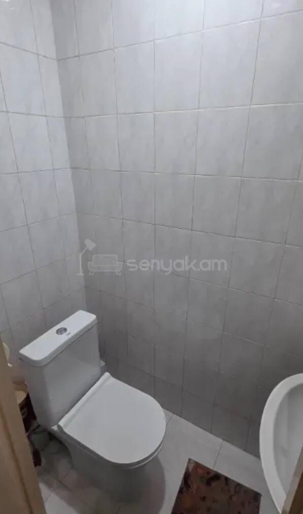 3 Սենյականոց Բնակարան, 85քմ, 9/9 հարկ, Կոսմետիկ Վերանորոգված