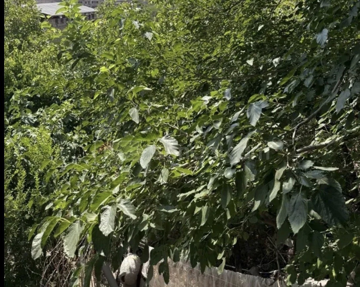 5 Սենյականոց Սեփական Տուն, 140քմ, Կապիտալ Վերանորոգված, Ավտոտնակով