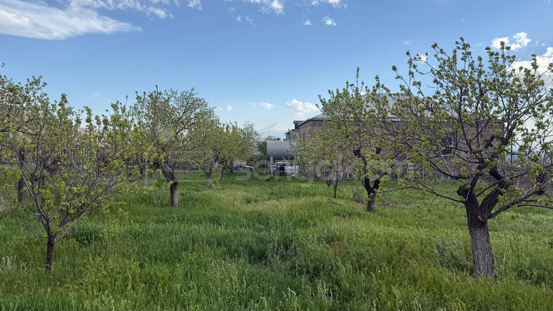 4 Սենյականոց Սեփական Տուն, 275քմ, Կապիտալ Վերանորոգված