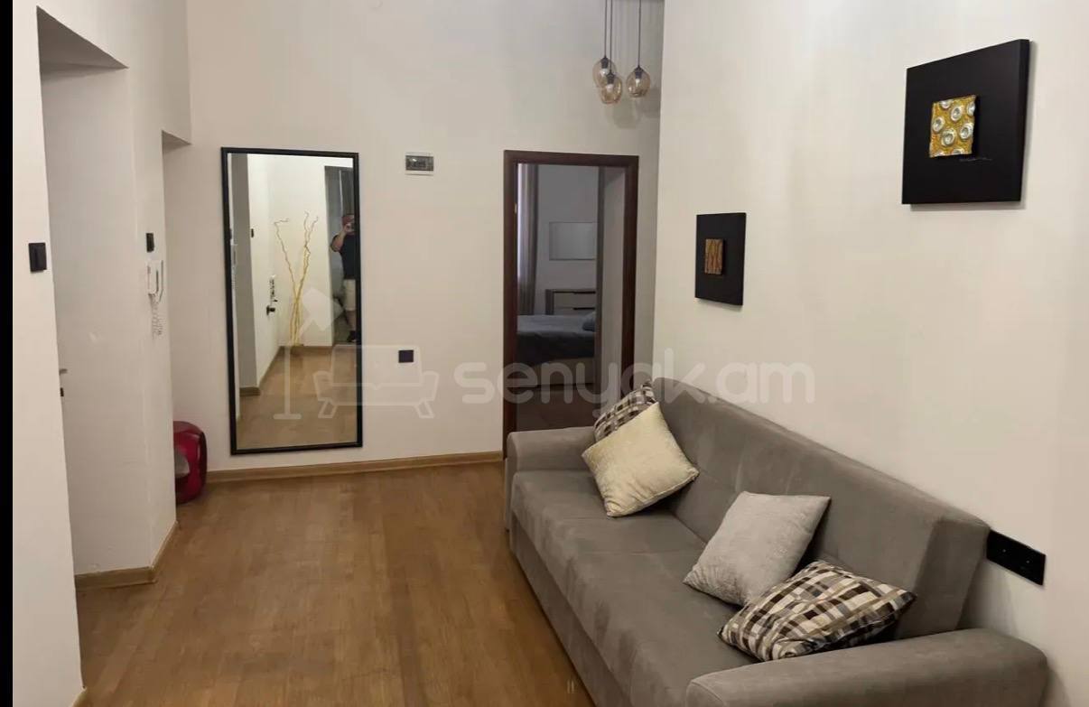 2 Սենյականոց Բնակարան Քարե Շենքում, 55քմ, 2/4 հարկ, Կապիտալ Վերանորոգված, Կահավորված