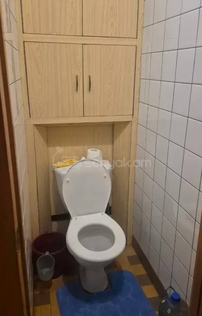 3 Սենյականոց Բնակարան, 64քմ, 5/12 հարկ, Նորմալ Վիճակում, Կահավորված