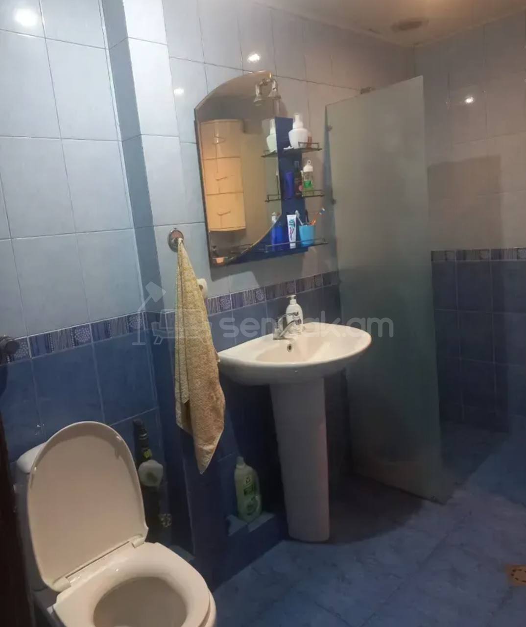 3 Սենյականոց Բնակարան, 68քմ, 6/9 հարկ, Կապիտալ Վերանորոգված