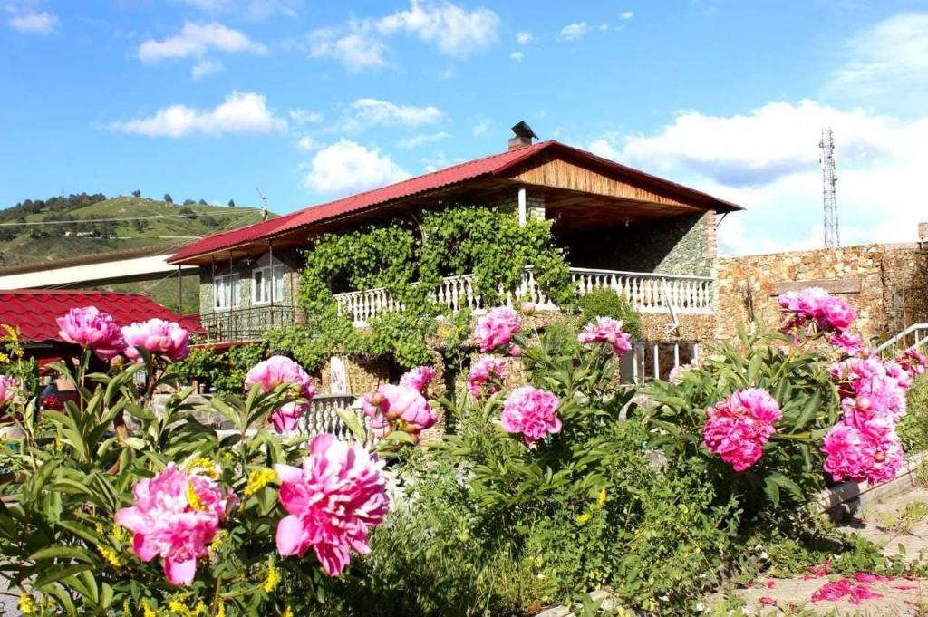 1 Սենյականոց Առանձնատուն, 30քմ