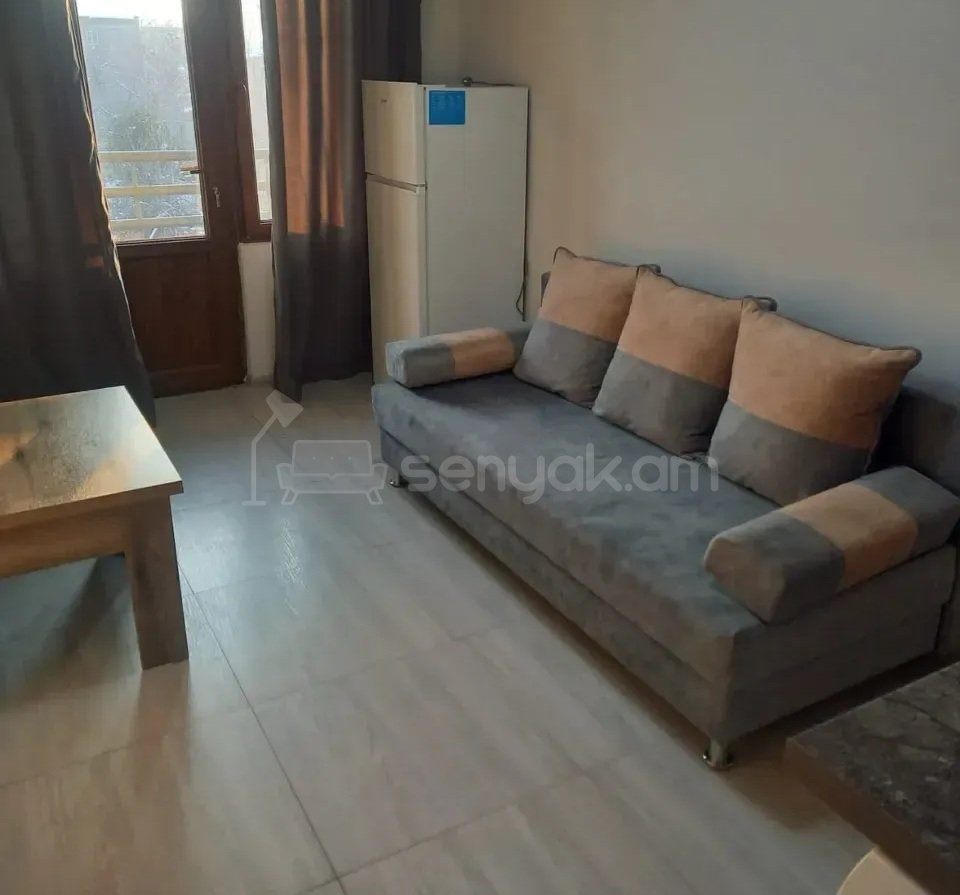 1 Սենյականոց Բնակարան Քարե Շենքում, 20քմ, 4/5 հարկ, Կապիտալ Վերանորոգված, Կահավորված