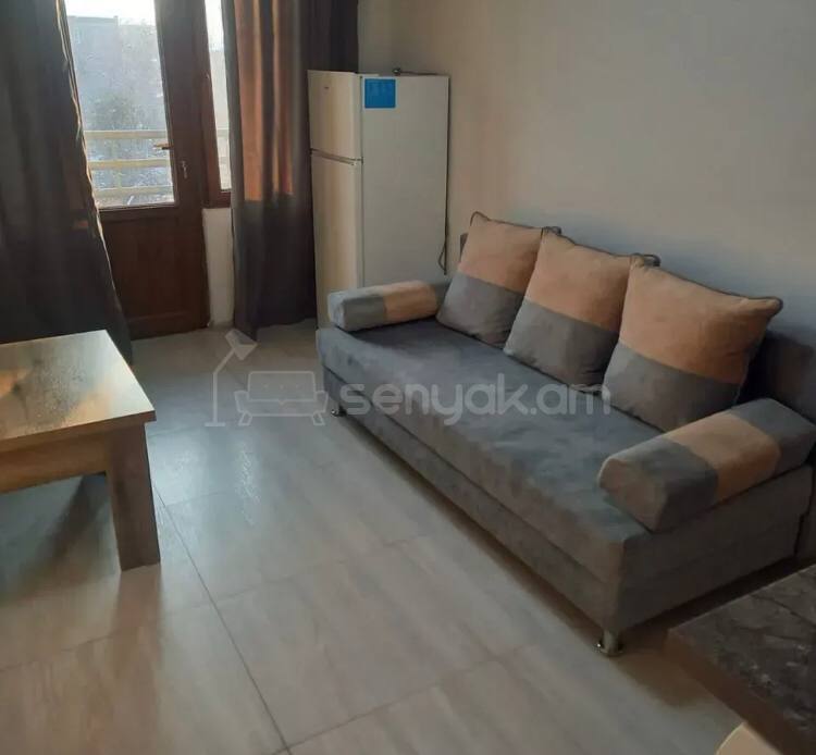 1 Սենյականոց Բնակարան Քարե Շենքում, 20քմ, 4/5 հարկ, Կապիտալ Վերանորոգված, Կահավորված