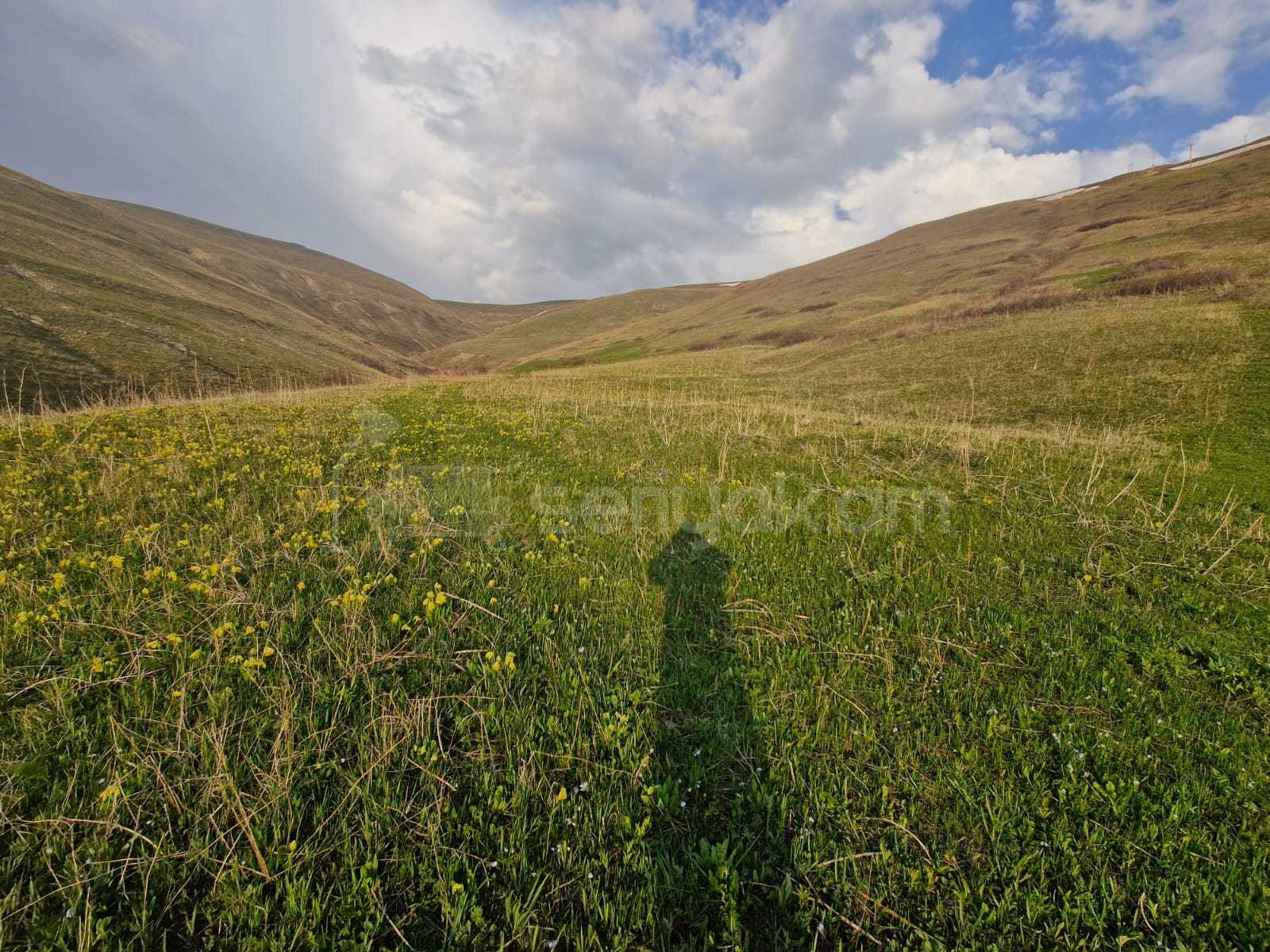 Հողամաս, 4000քմ