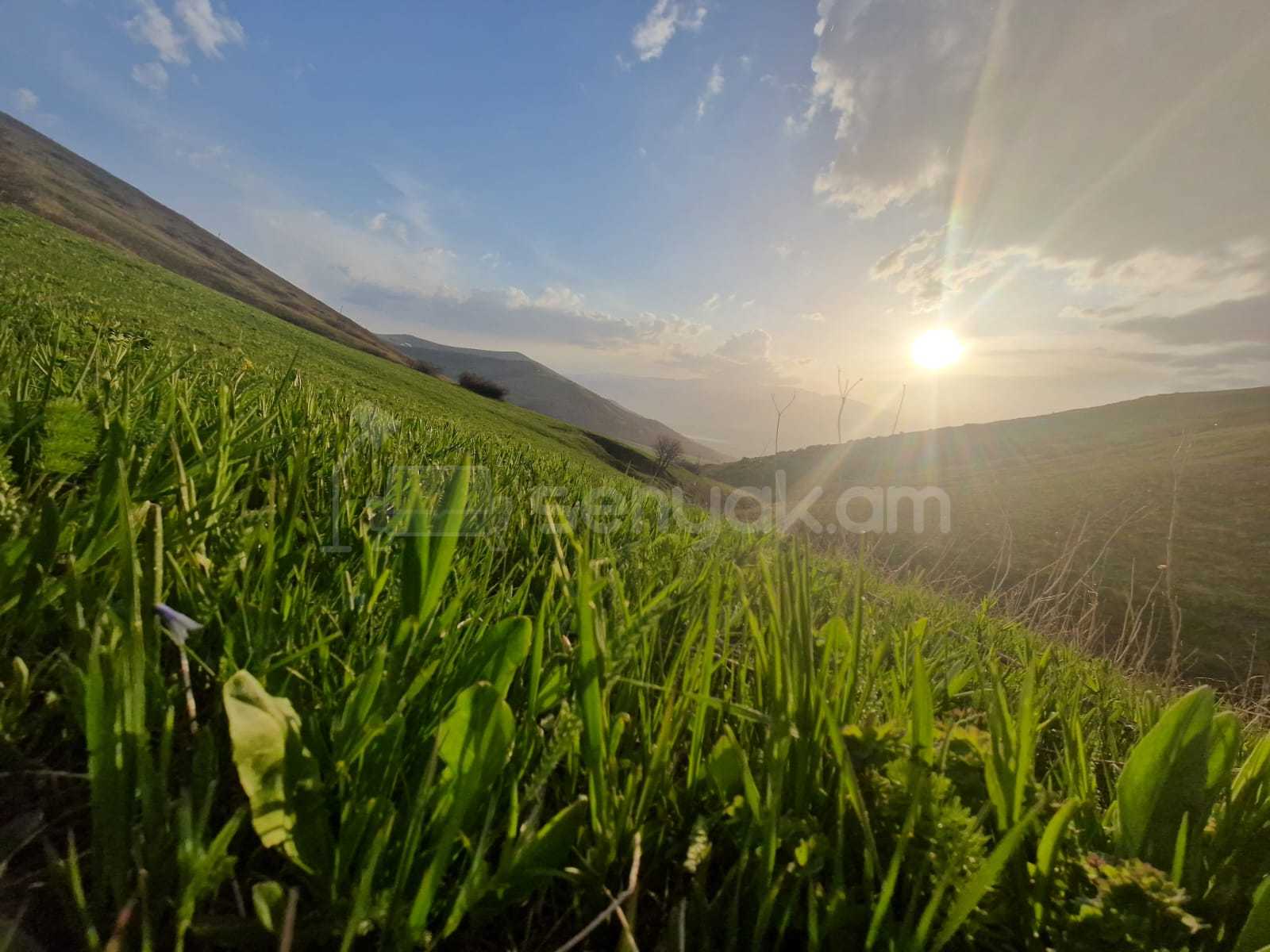 Հողամաս, 4000քմ