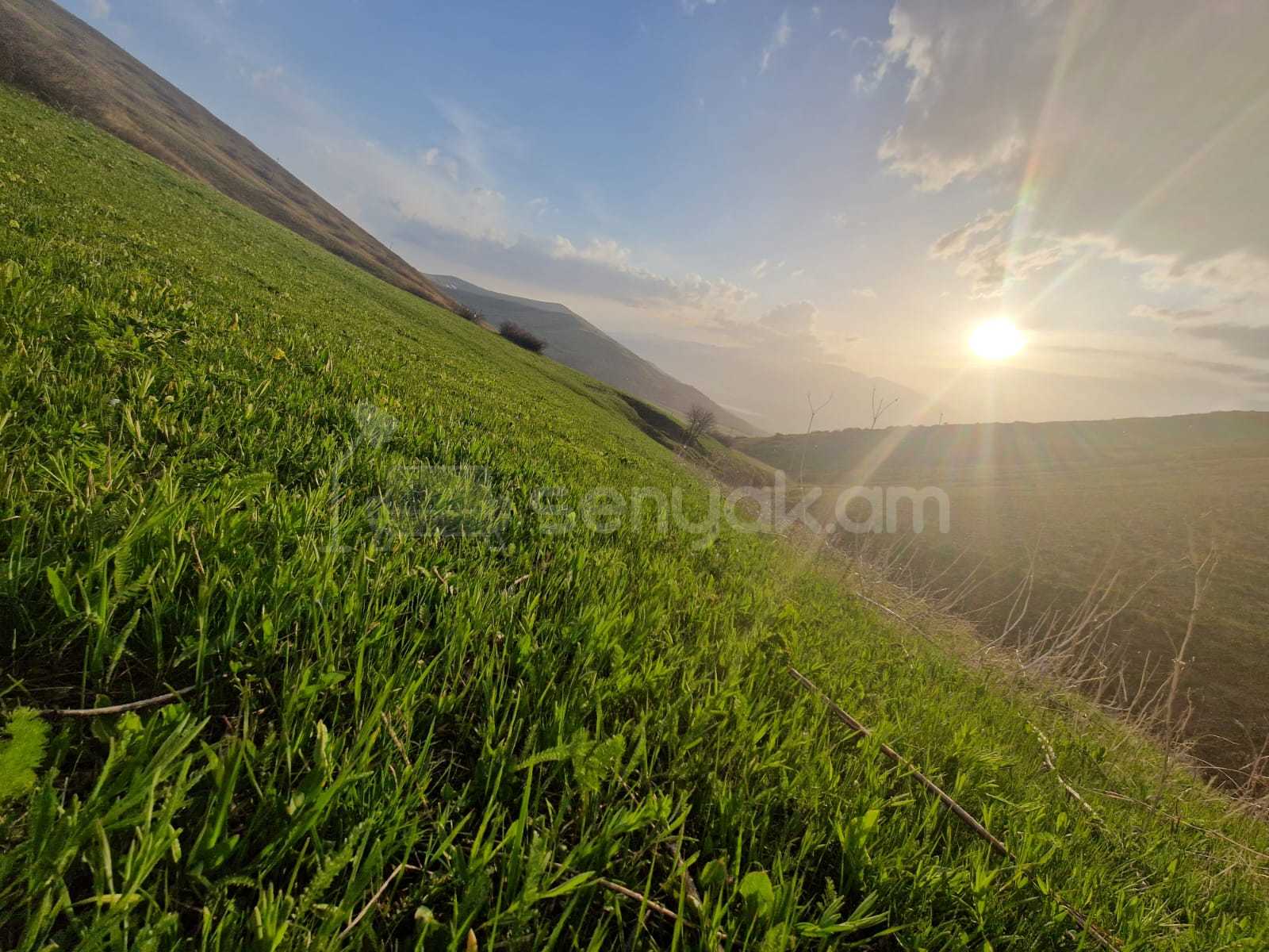 Հողամաս, 4000քմ