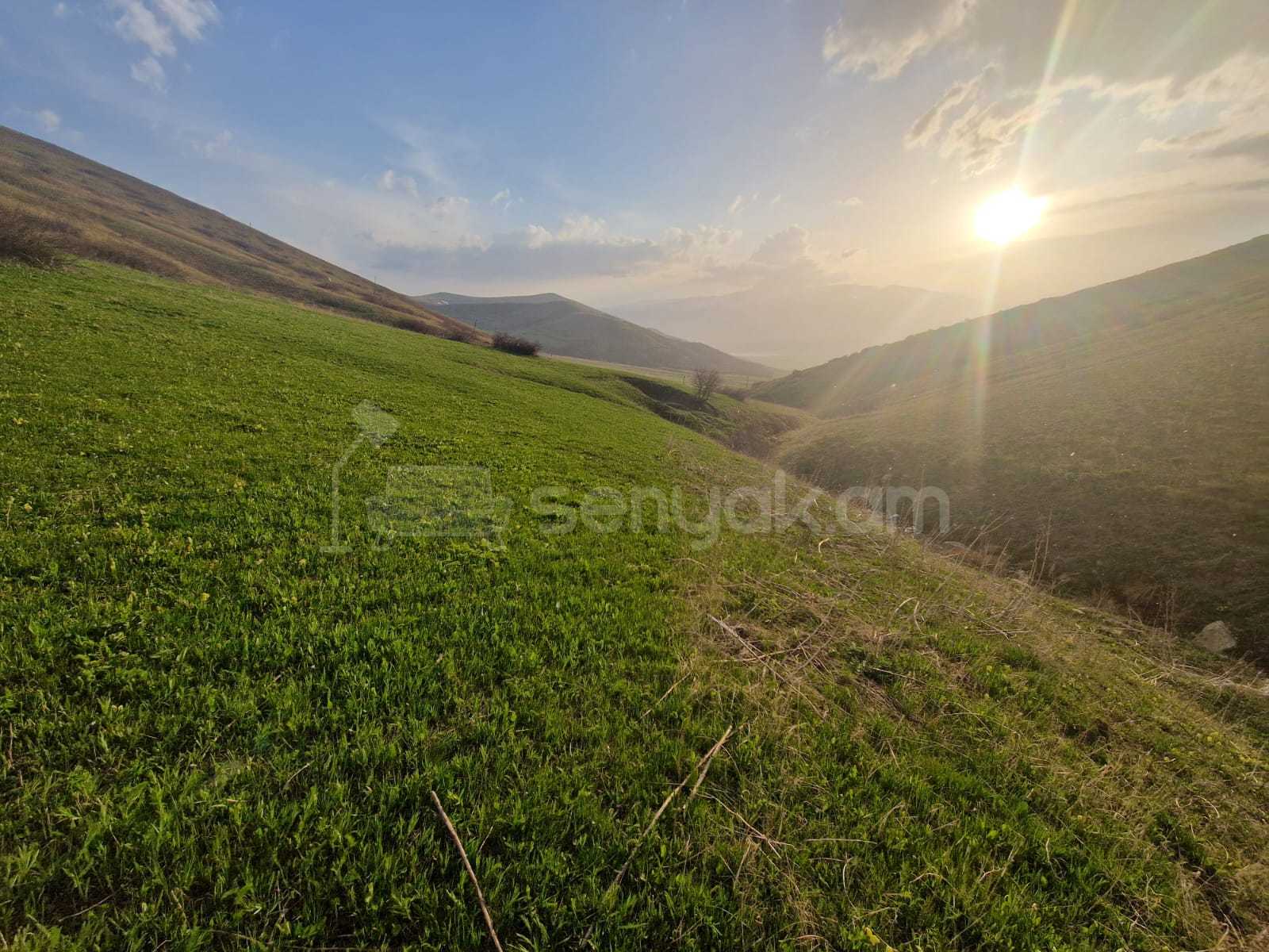 Հողամաս, 4000քմ