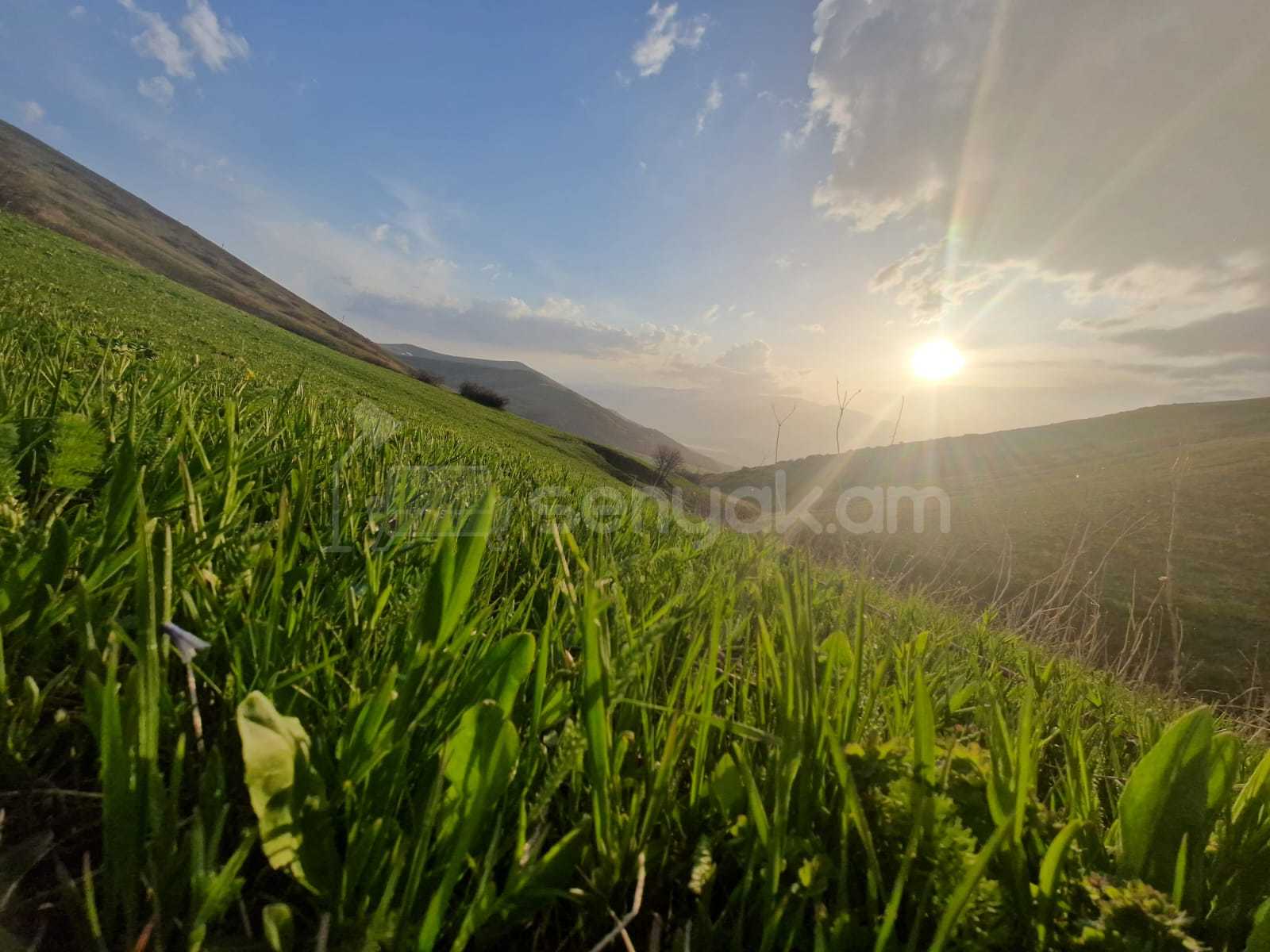 Հողամաս, 4000քմ