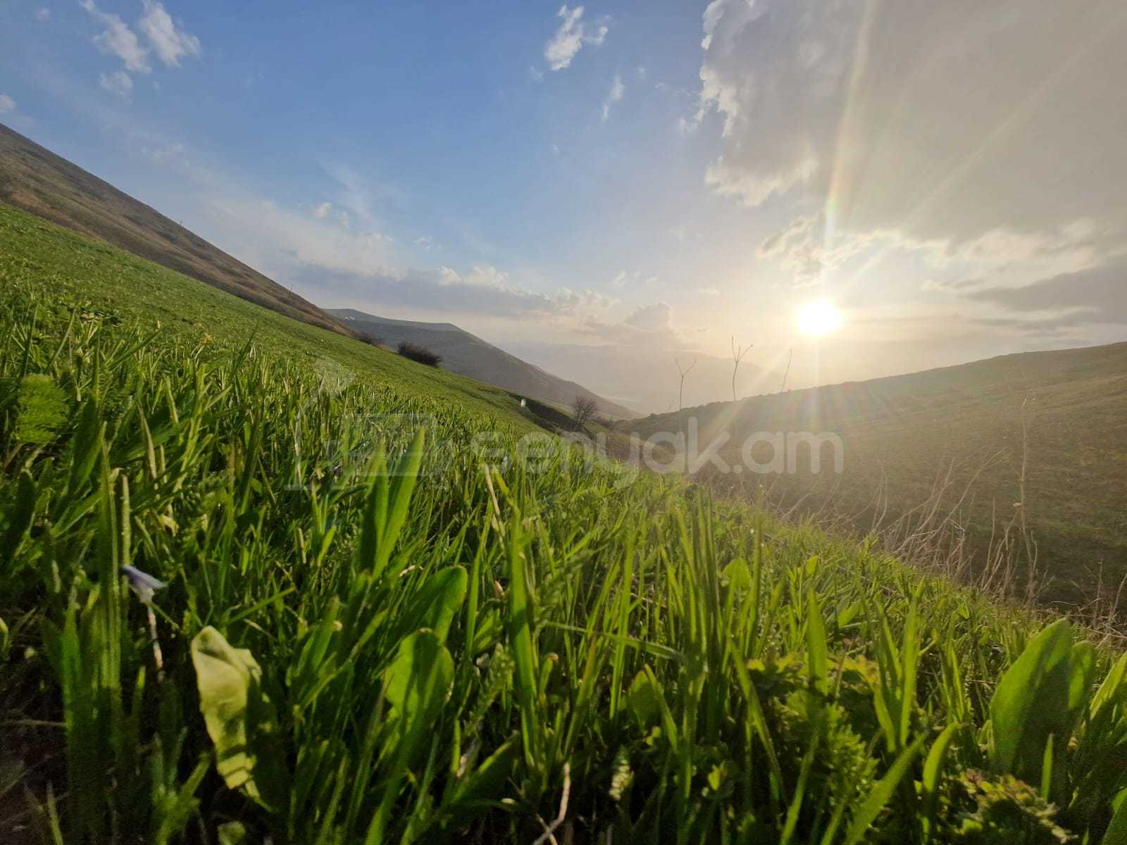 Հողամաս, 4000քմ