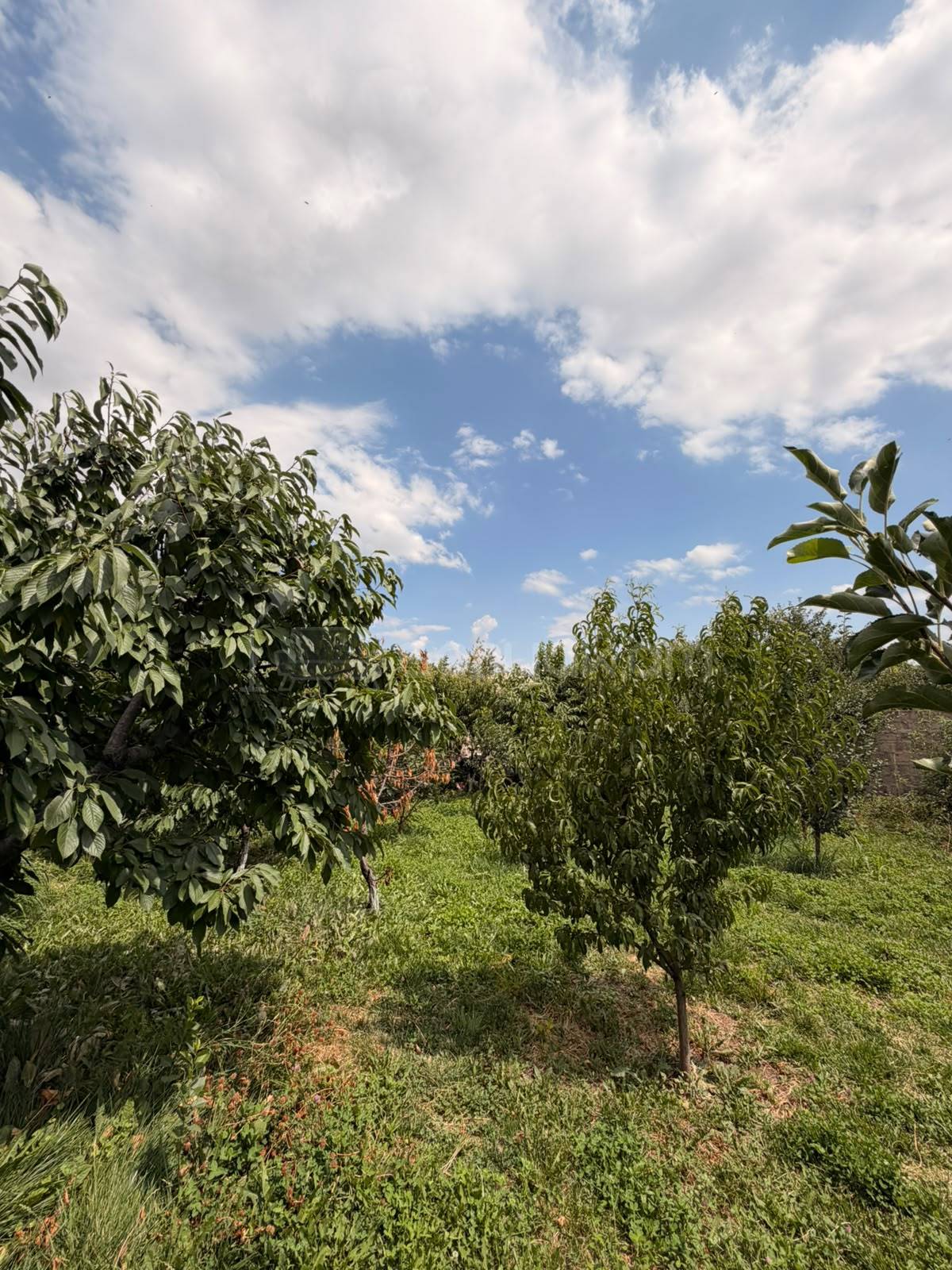 4 Սենյականոց Սեփական Տուն, 140քմ, Կապիտալ Վերանորոգված