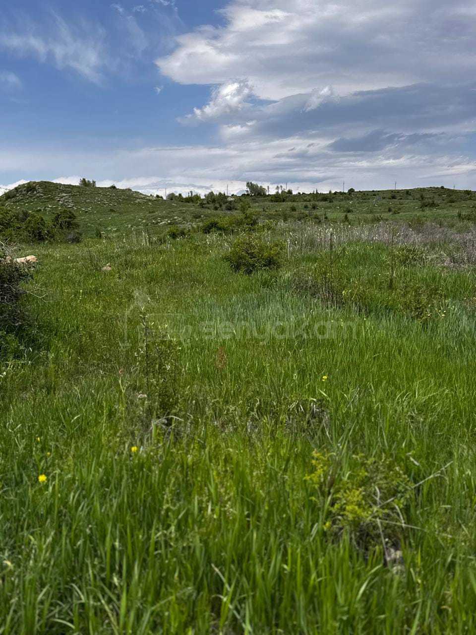 Բնակելի Նշանակության Հողատարածք, 2600քմ