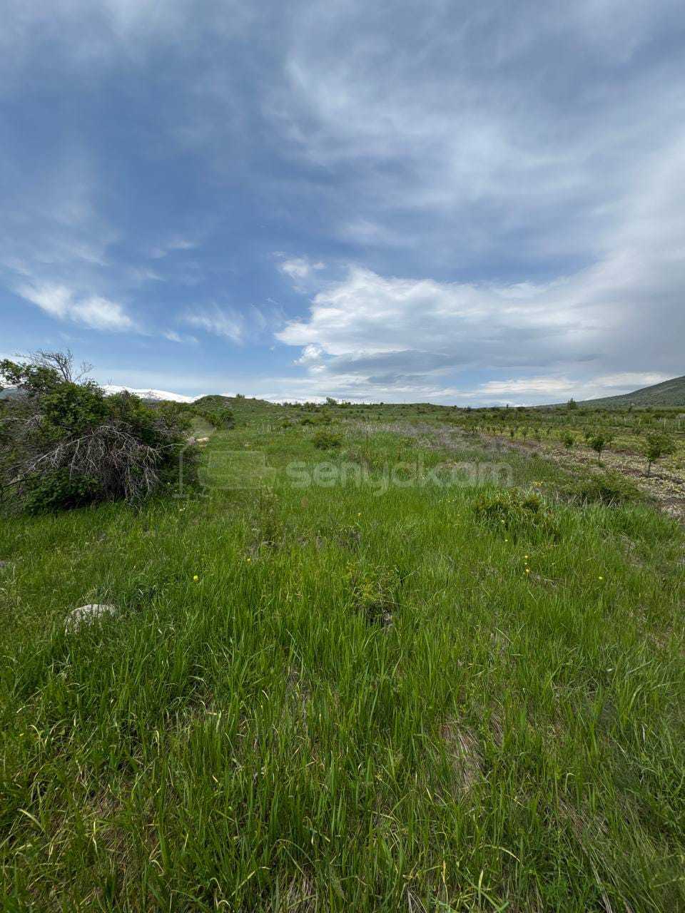 Բնակելի Նշանակության Հողատարածք, 2600քմ