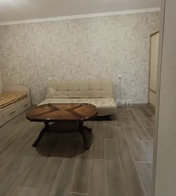 1 Սենյականոց Բնակարան Քարե Շենքում, 40քմ, 1/1 հարկ, Կապիտալ Վերանորոգված, Կահավորված