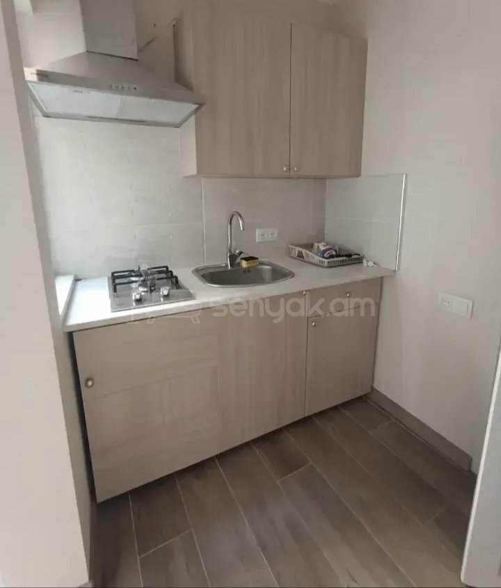 1 Սենյականոց Բնակարան Քարե Շենքում, 40քմ, 1/1 հարկ, Կապիտալ Վերանորոգված, Կահավորված
