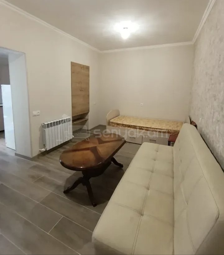 1 Սենյականոց Բնակարան Քարե Շենքում, 40քմ, 1/1 հարկ, Կապիտալ Վերանորոգված, Կահավորված