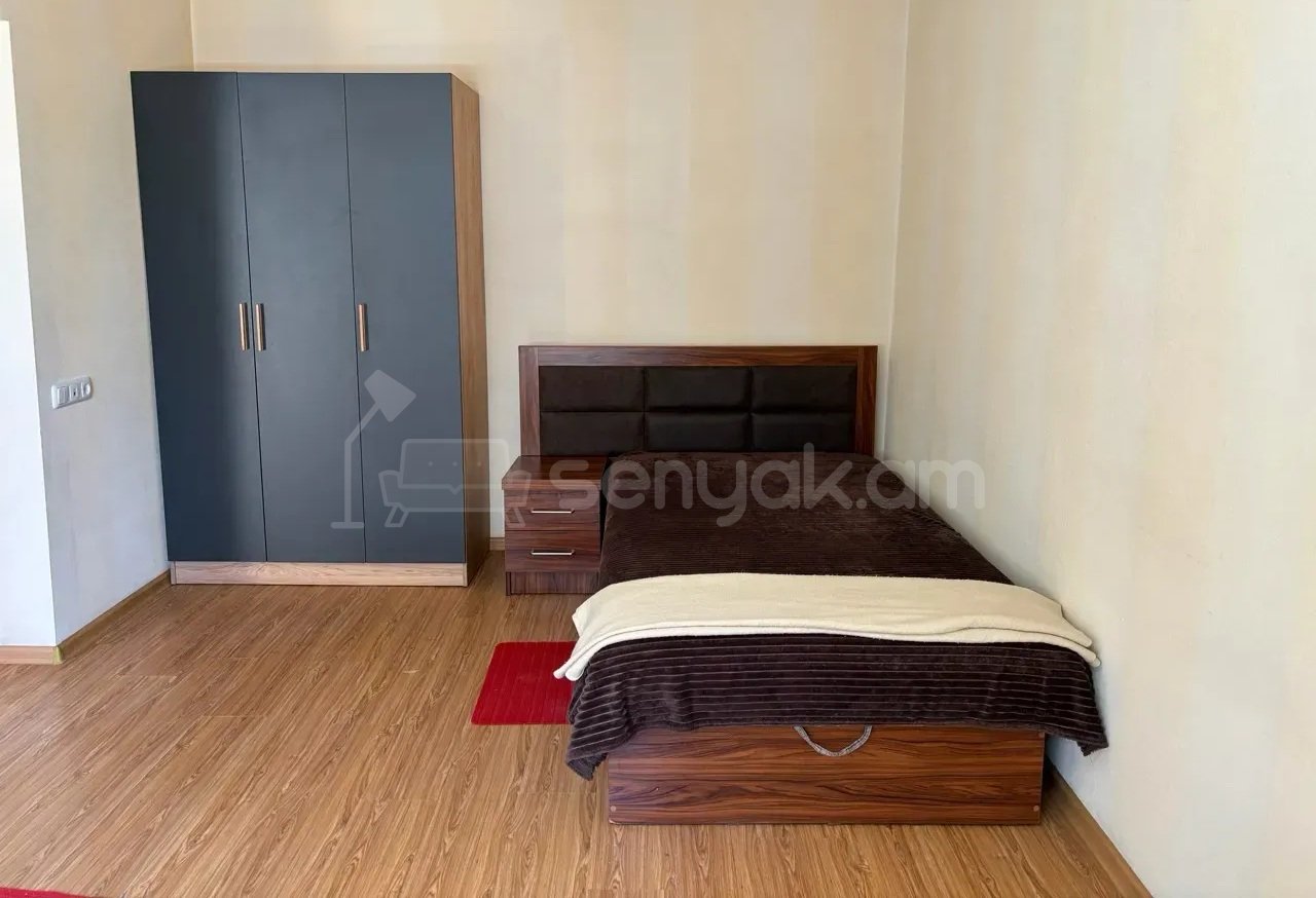 1 Սենյականոց Բնակարան Քարե Շենքում, 30քմ, 2/4 հարկ, Կապիտալ Վերանորոգված, Կահավորված