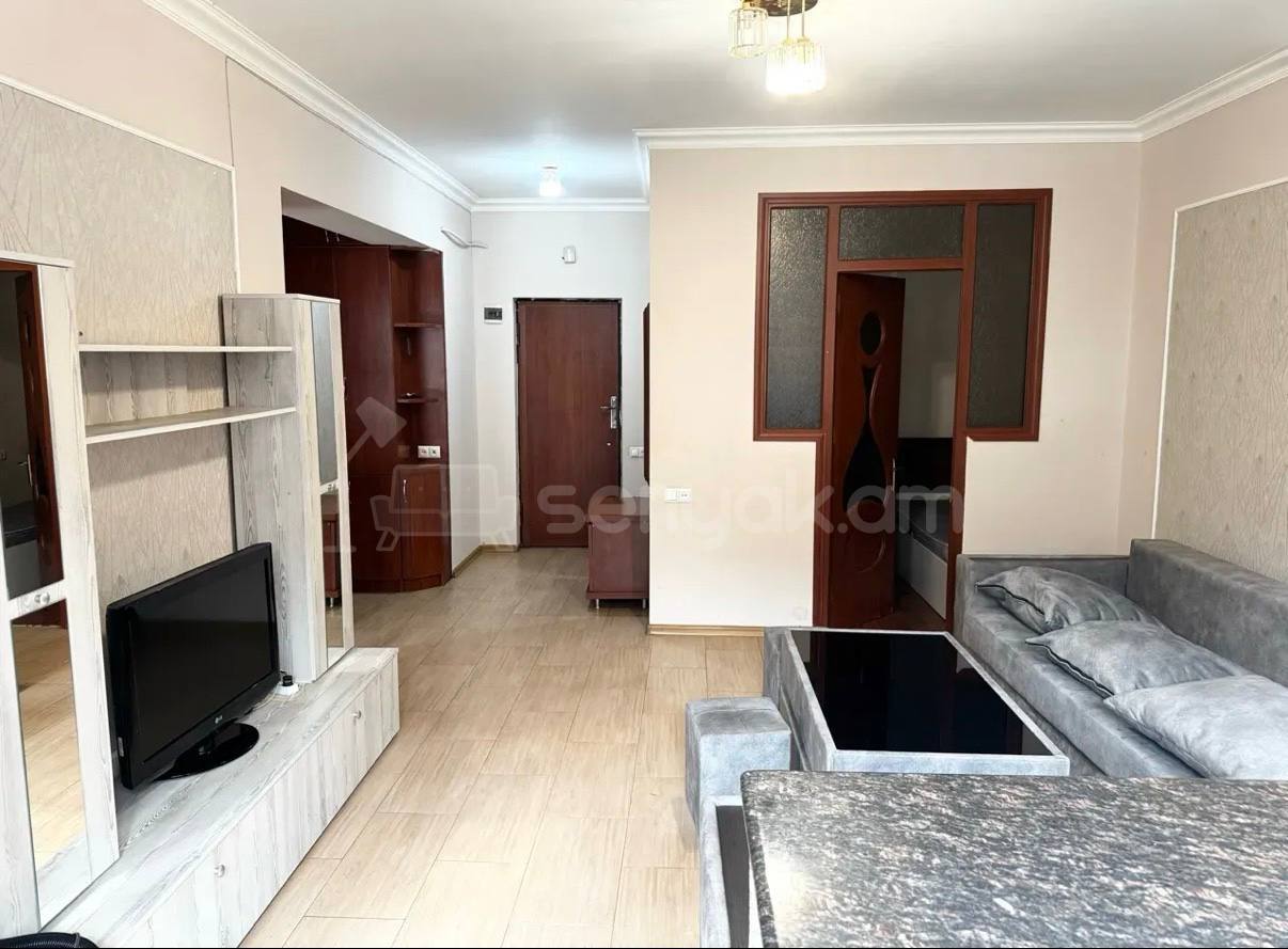 3 Սենյականոց Բնակարան, 54քմ, 2/9 հարկ, Կապիտալ Վերանորոգված, Կահավորված