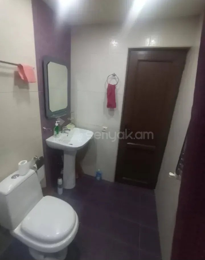 3 Սենյականոց Բնակարան Քարե Շենքում, 52քմ, 3/5 հարկ, Կապիտալ Վերանորոգված, Կահավորված