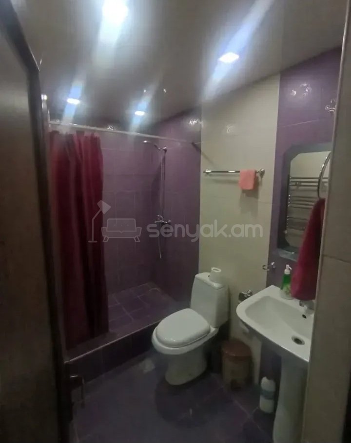 3 Սենյականոց Բնակարան Քարե Շենքում, 52քմ, 3/5 հարկ, Կապիտալ Վերանորոգված, Կահավորված