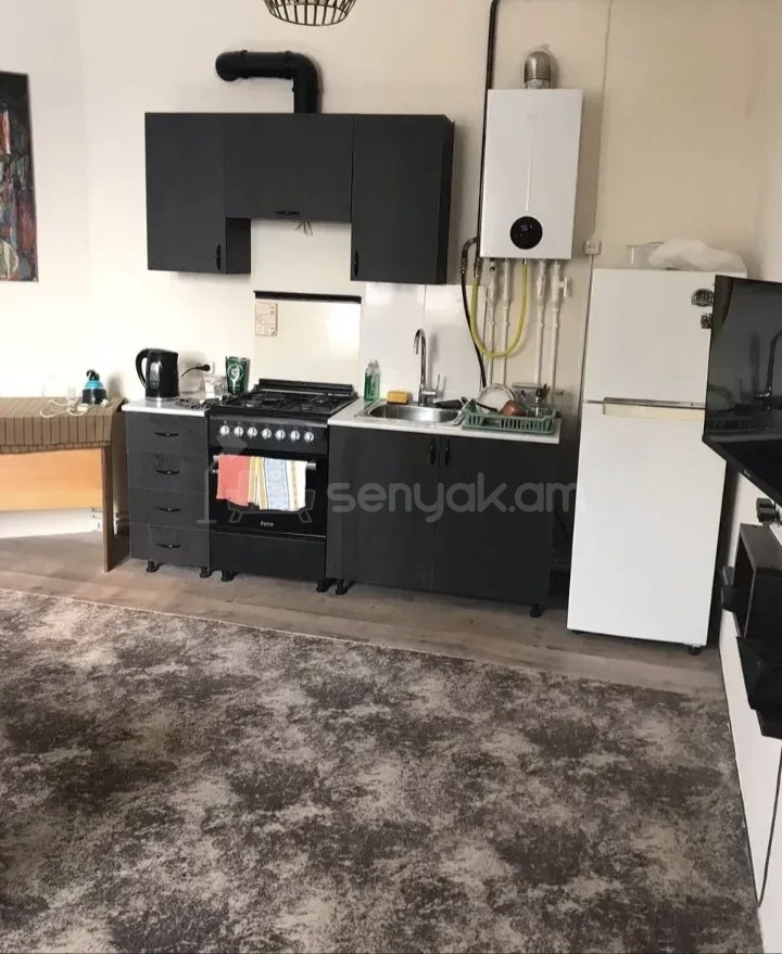 2 Սենյականոց Բնակարան Քարե Շենքում, 56քմ, 1/1 հարկ, Կապիտալ Վերանորոգված, Կահավորված