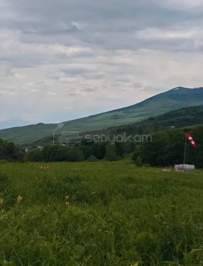 Հողամաս, 4000քմ, Էլեկտրականությամբ