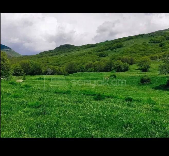 Հողամաս, 4000քմ, Էլեկտրականությամբ