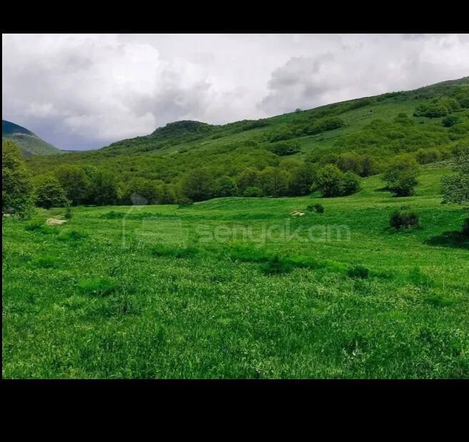 Հողամաս, 4000քմ, Էլեկտրականությամբ