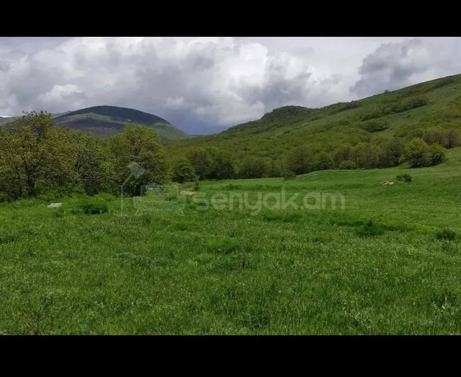 Հողամաս, 4000քմ, Էլեկտրականությամբ
