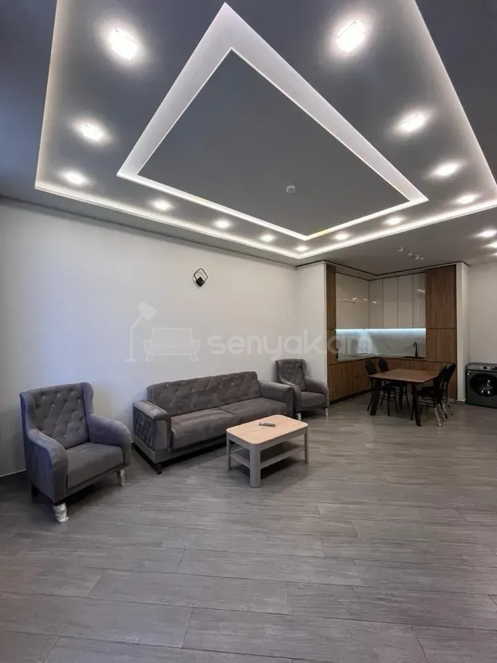 2 Սենյականոց Բնակարան Նորակառույցում, 67քմ, 2/3 հարկ, Կապիտալ Վերանորոգված, Կահավորված