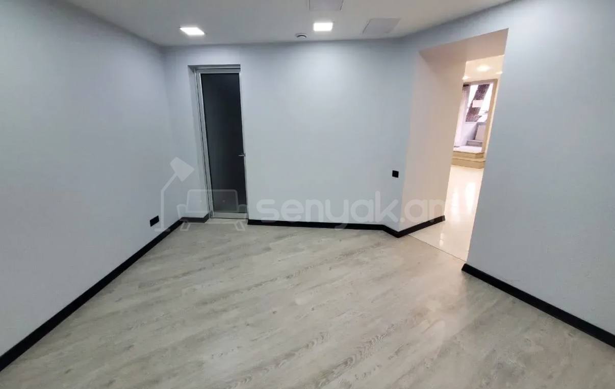 Օֆիսային Տարածք, 58քմ, Կապիտալ Վերանորոգված