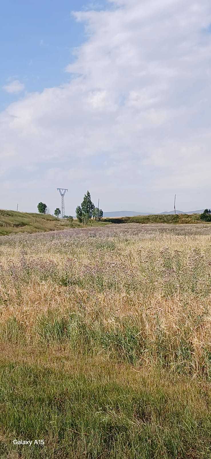 Հողամաս, 20000քմ, Ոռոգման Ջրով