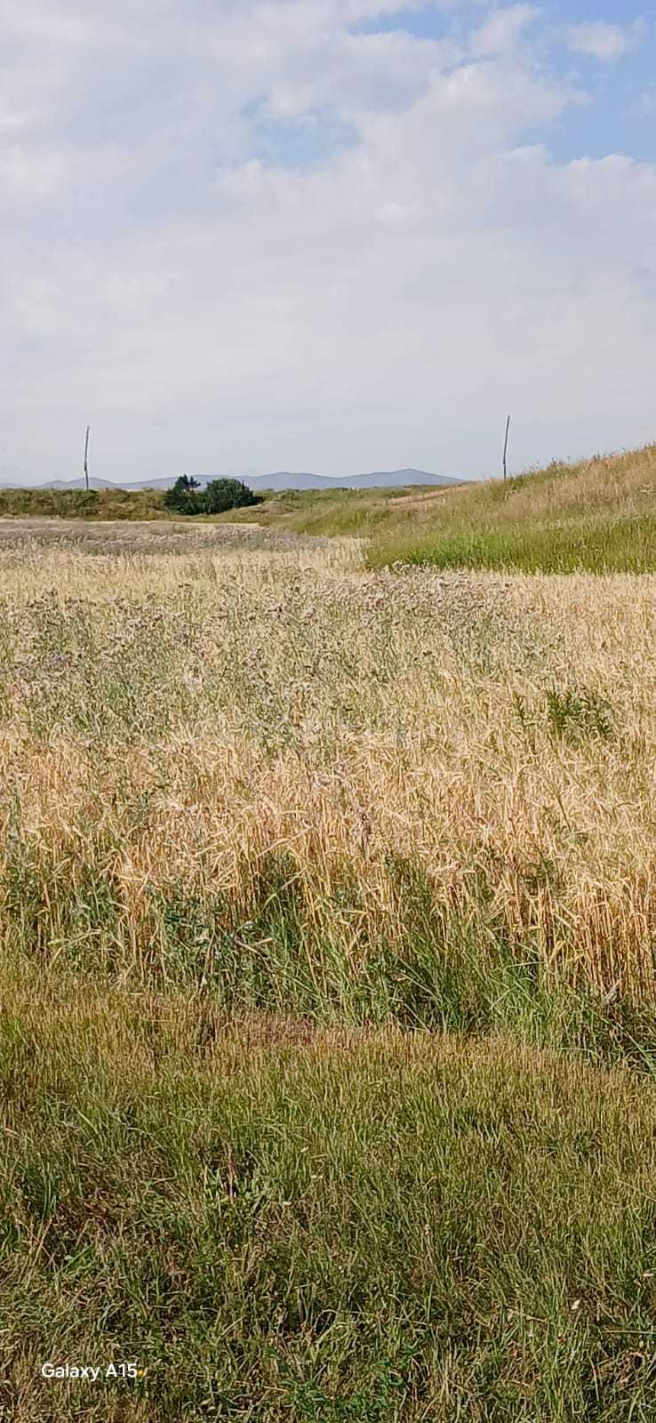 Հողամաս, 20000քմ, Ոռոգման Ջրով